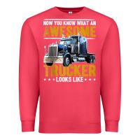 Cardinal awesome trucker big rig semi trailer truck driver gift men tank top Premium Sweatshirt - linhVisuals