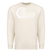 Sandshell chicago retro styled faded design Premium Sweatshirt - linhVisuals