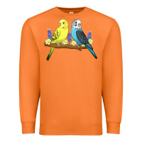 Carrot cute budgies Premium Sweatshirt - linhVisuals
