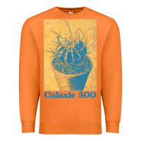 Carrot galaxie 500 retro vintage look fan design Premium Sweatshirt - linhVisuals