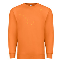 Carrot flag of alaska Premium Sweatshirt - linhVisuals