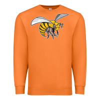 The-alabama-state-hornets Premium Sweatshirt | Teevron
