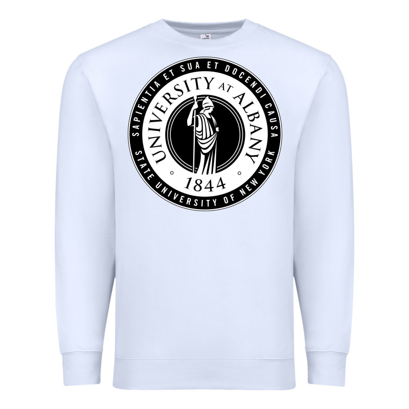 University Albany Suny Premium Sweatshirt by linhVisuals | Teevron