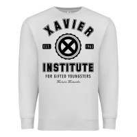 Dove Grey xavier institute Premium Sweatshirt - linhVisuals