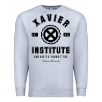 Heather Grey xavier institute Premium Sweatshirt - linhVisuals