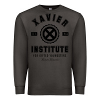 Smoke xavier institute Premium Sweatshirt - linhVisuals