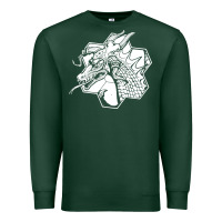 Sports Green the fantasy trip megahex dragon Premium Sweatshirt - linhVisuals
