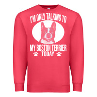 Cardinal boston terrier t  shirtfunny boston terrier dog gift i m only talking Premium Sweatshirt - linhVisuals