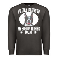 Smoke boston terrier t  shirtfunny boston terrier dog gift i m only talking Premium Sweatshirt - linhVisuals