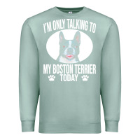 Seafoam boston terrier t  shirtfunny boston terrier dog gift i m only talking Premium Sweatshirt - linhVisuals