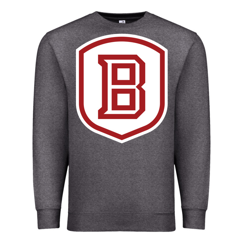 Bradley University Athletics Premium Sweatshirt by linhVisuals | Teevron