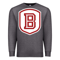 Charcoal Heather Bradley University Athletics Premium Sweatshirt - linhVisuals