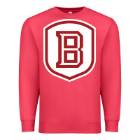 Cardinal Bradley University Athletics Premium Sweatshirt - linhVisuals