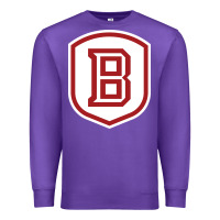 Purple Bradley University Athletics Premium Sweatshirt - linhVisuals