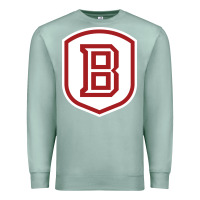 Seafoam Bradley University Athletics Premium Sweatshirt - linhVisuals