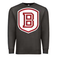 Smoke Bradley University Athletics Premium Sweatshirt - linhVisuals