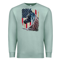 Seafoam patriotic horse american flag   horse vintage Premium Sweatshirt - linhVisuals