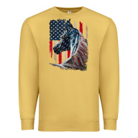 Antique Gold patriotic horse american flag   horse vintage Premium Sweatshirt - linhVisuals