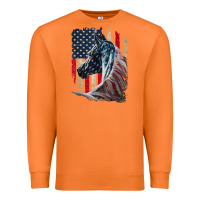 Carrot patriotic horse american flag   horse vintage Premium Sweatshirt - linhVisuals
