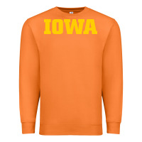 Carrot university of iowa, Apparel Premium Sweatshirt - linhVisuals