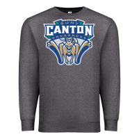Charcoal Heather suny canton Premium Sweatshirt - linhVisuals
