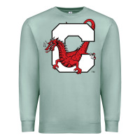 Seafoam suny cortland red dragons Premium Sweatshirt - linhVisuals