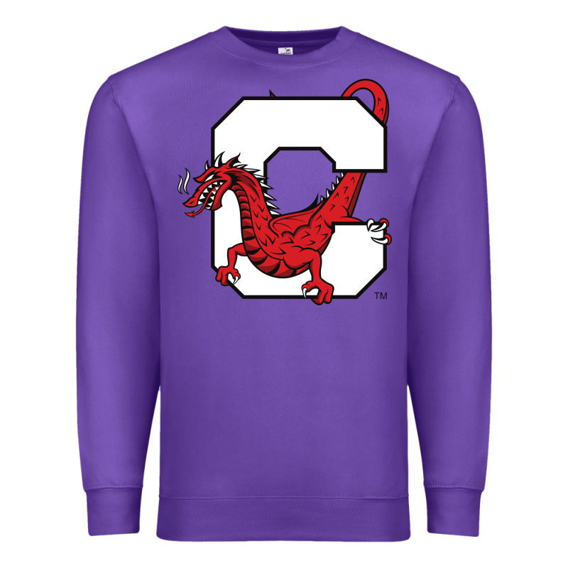 Suny Cortland Red Dragons Premium Sweatshirt by linhVisuals | Teevron