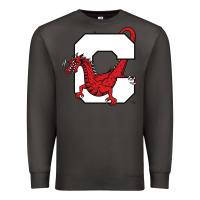 Smoke suny cortland red dragons Premium Sweatshirt - linhVisuals