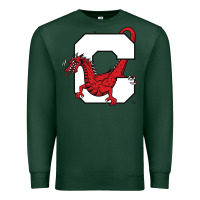 Sports Green suny cortland red dragons Premium Sweatshirt - linhVisuals