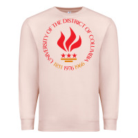Pale Pink university of the district of columbia Premium Sweatshirt - linhVisuals