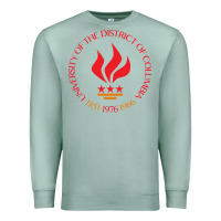 Seafoam university of the district of columbia Premium Sweatshirt - linhVisuals