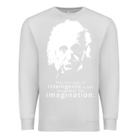 Dove Grey albert einstein quote1 Premium Sweatshirt - linhVisuals