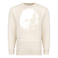 Sandshell albert einstein quote1 Premium Sweatshirt - linhVisuals