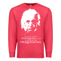 Cardinal albert einstein quote1 Premium Sweatshirt - linhVisuals