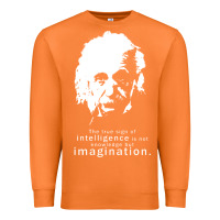 Carrot albert einstein quote1 Premium Sweatshirt - linhVisuals