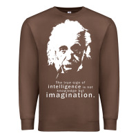 Chestnut albert einstein quote1 Premium Sweatshirt - linhVisuals