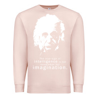 Pale Pink albert einstein quote1 Premium Sweatshirt - linhVisuals