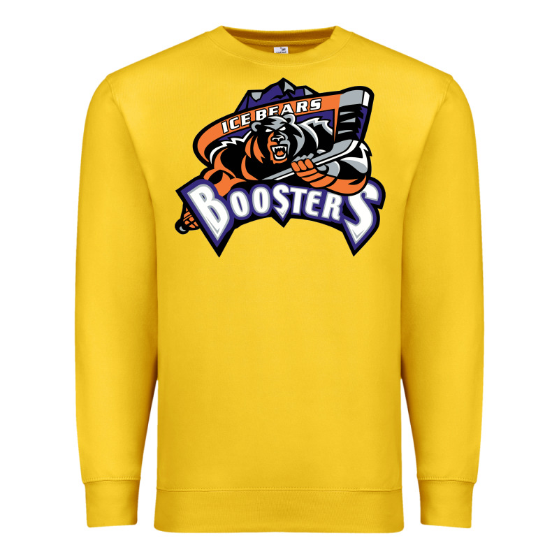Knoxville Ice Bears Premium Sweatshirt by linhVisuals | Teevron
