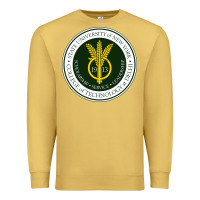Antique Gold Suny Delhi Premium Sweatshirt - linhVisuals