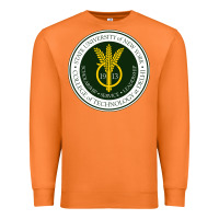 Carrot Suny Delhi Premium Sweatshirt - linhVisuals