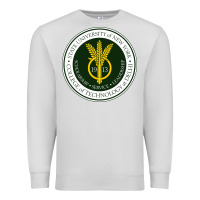 Dove Grey Suny Delhi Premium Sweatshirt - linhVisuals
