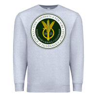 Heather Grey Suny Delhi Premium Sweatshirt - linhVisuals