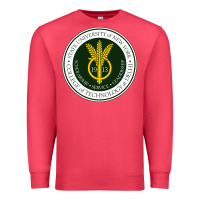 Cardinal Suny Delhi Premium Sweatshirt - linhVisuals