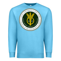 Ocean Blue Suny Delhi Premium Sweatshirt - linhVisuals