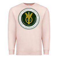 Pale Pink Suny Delhi Premium Sweatshirt - linhVisuals