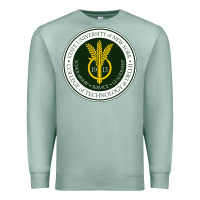 Seafoam Suny Delhi Premium Sweatshirt - linhVisuals