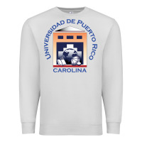 Dove Grey Upr At Carolina Premium Sweatshirt - linhVisuals