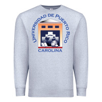 Heather Grey Upr At Carolina Premium Sweatshirt - linhVisuals