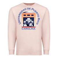 Pale Pink Upr At Carolina Premium Sweatshirt - linhVisuals