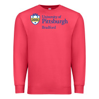 University Of Pittsburgh At Bradford New Premium Sweatshirt | Teevron